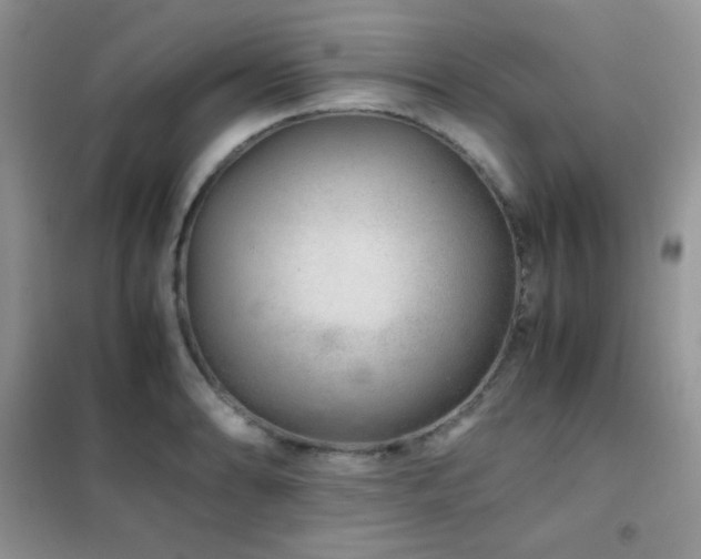 X0000102381086200808011531