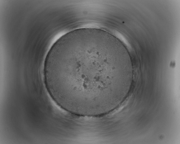 X0000102381087200808011531