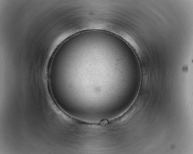 X0000102381088200808011531