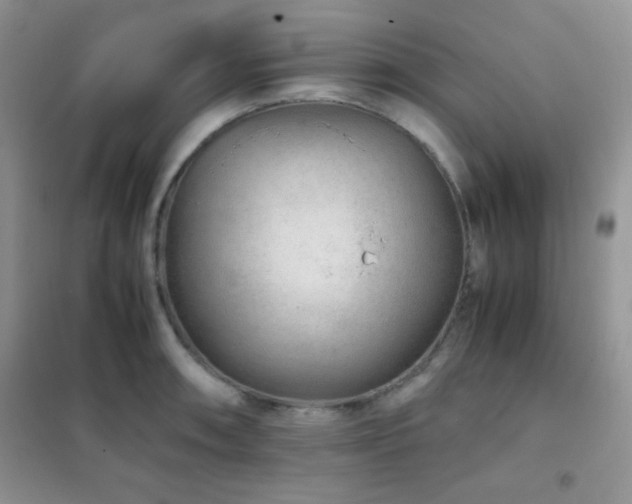 X0000102381090200808011531