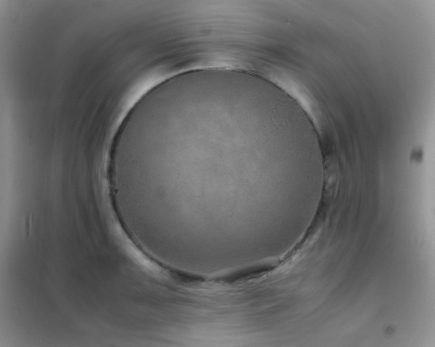 X0000102381091200808011531