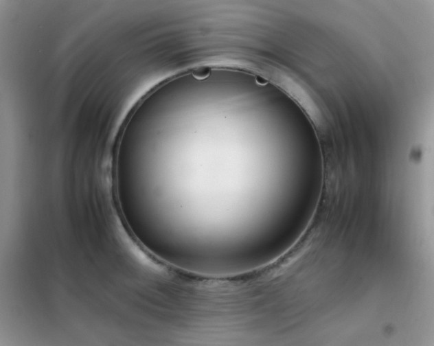 X0000102381092200808011531