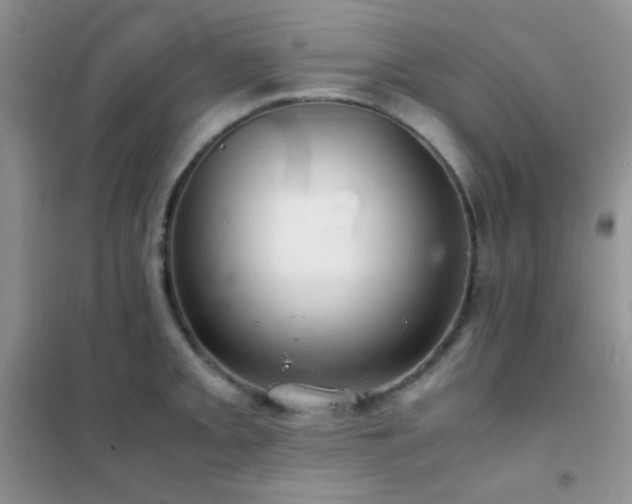 X0000102381093200808011531