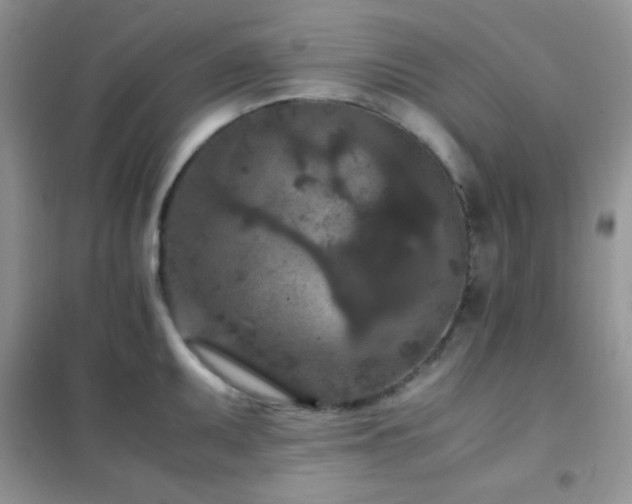X0000102381095200808011531