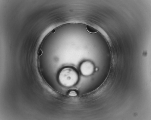 X0000102381096200808011531