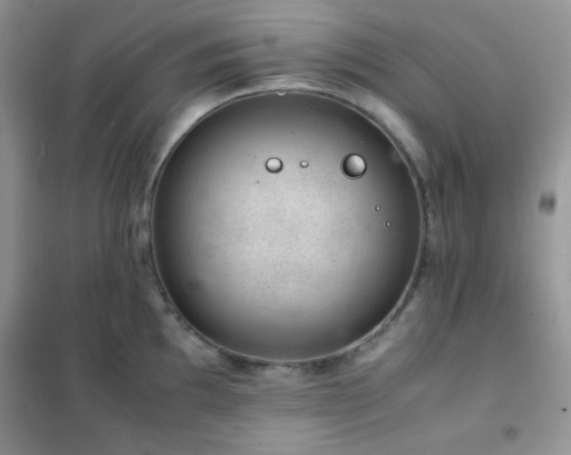 X0000102381097200808011531