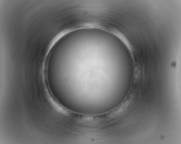 X0000102381098200808011531
