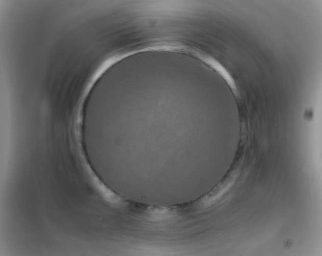 X0000102381099200808011531