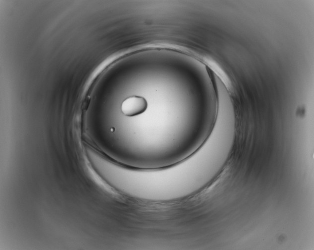 X0000102381100200808011531