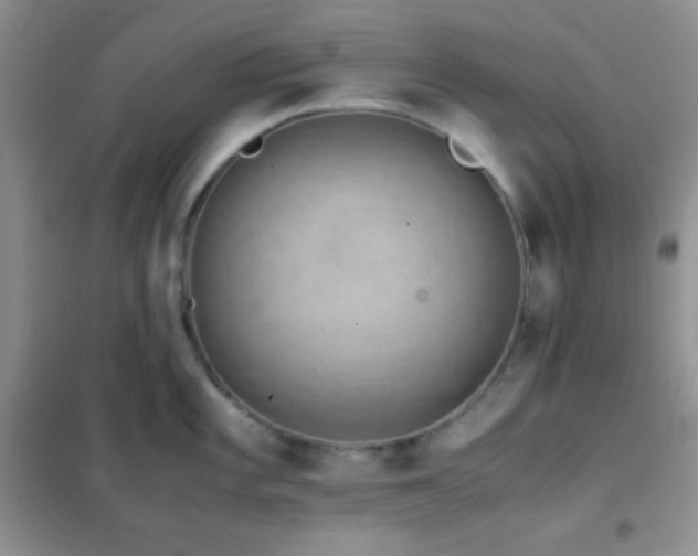 X0000102381101200808011531