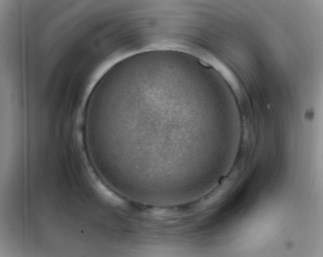 X0000102381102200808011531