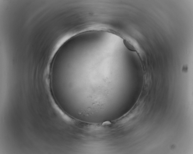 X0000102381103200808011531