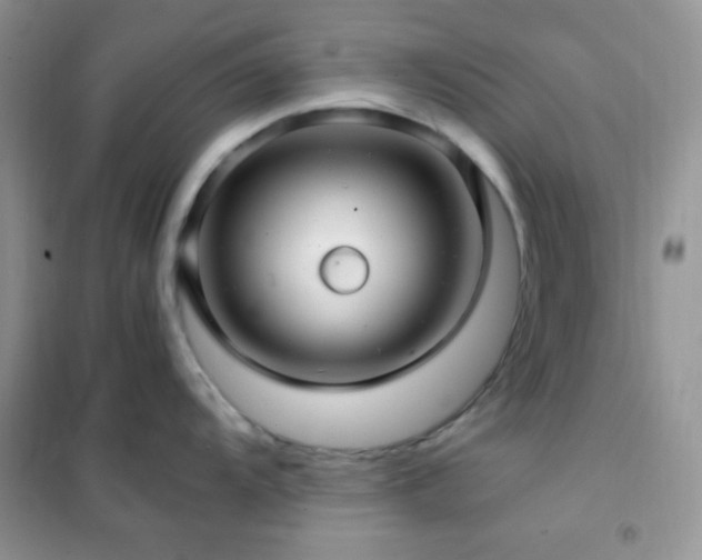 X0000102381104200808011531