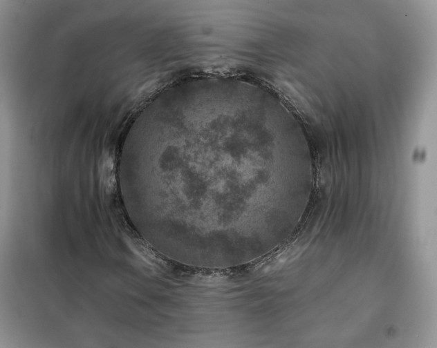 X0000102381106200808011530