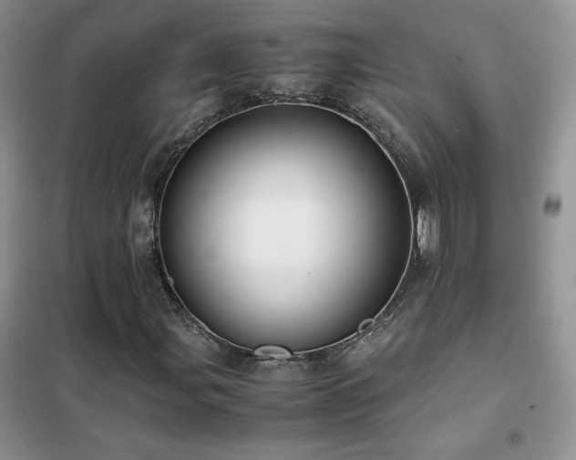 X0000102381107200808011530