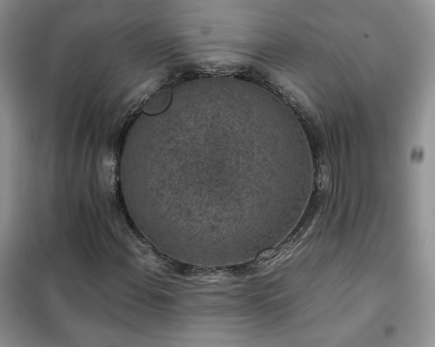 X0000102381108200808011530