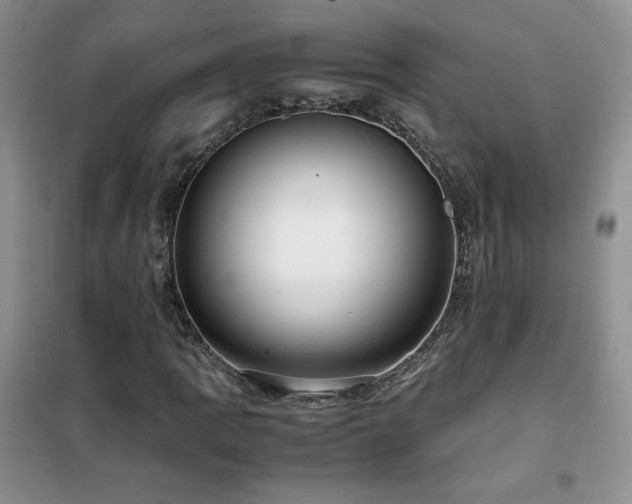 X0000102381109200808011530