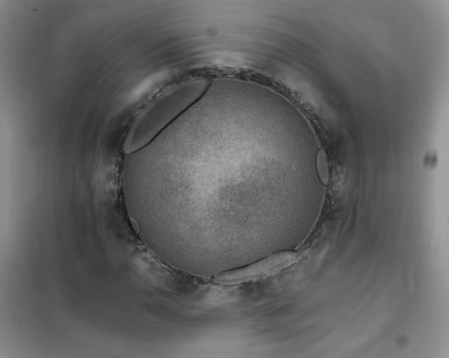X0000102381110200808011530