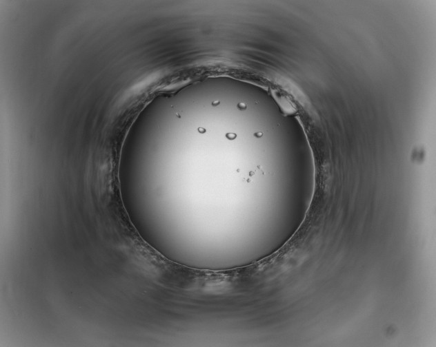 X0000102381111200808011530
