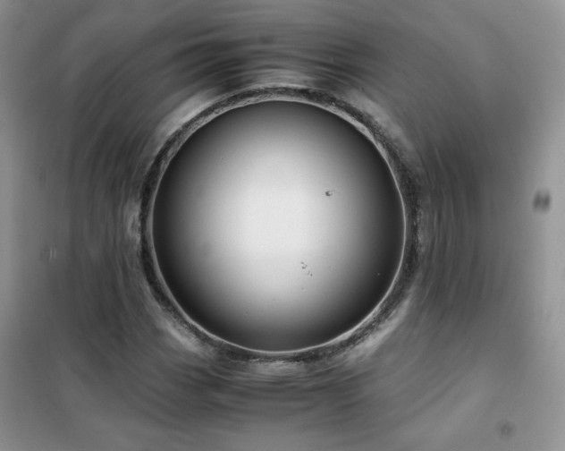 X0000102381113200808011530