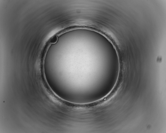 X0000102381114200808011530