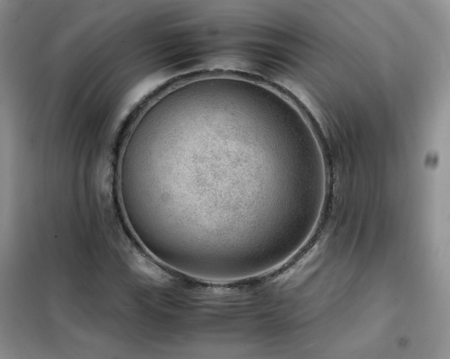 X0000102381115200808011530