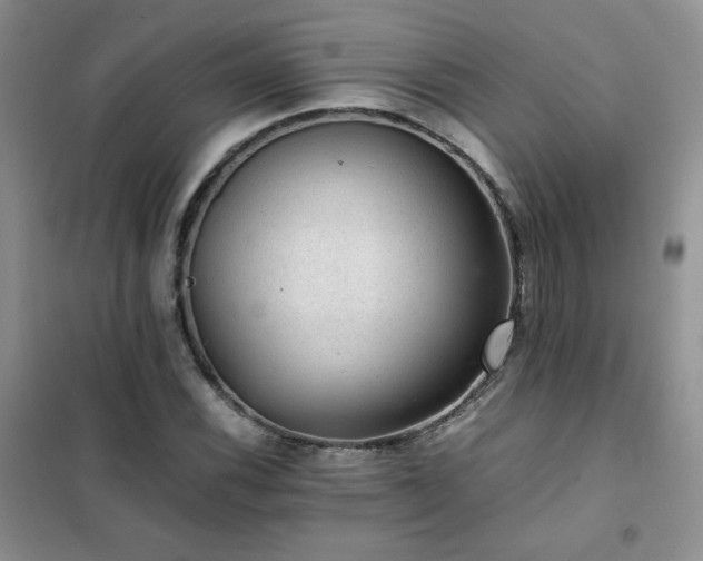 X0000102381116200808011530