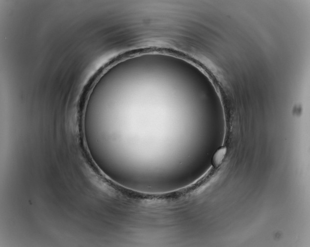 X0000102381118200808011530