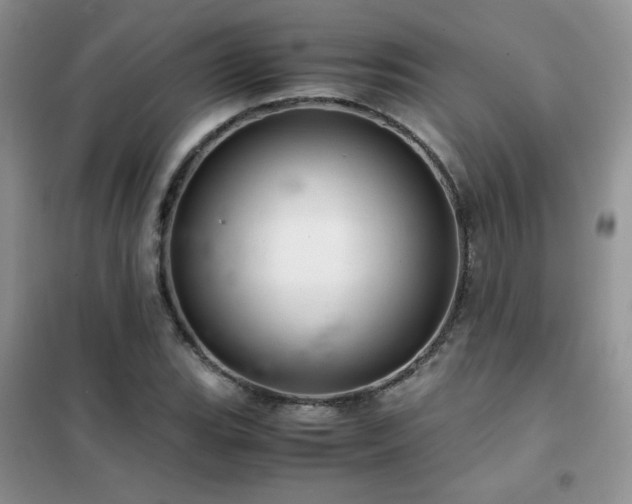 X0000102381119200808011530