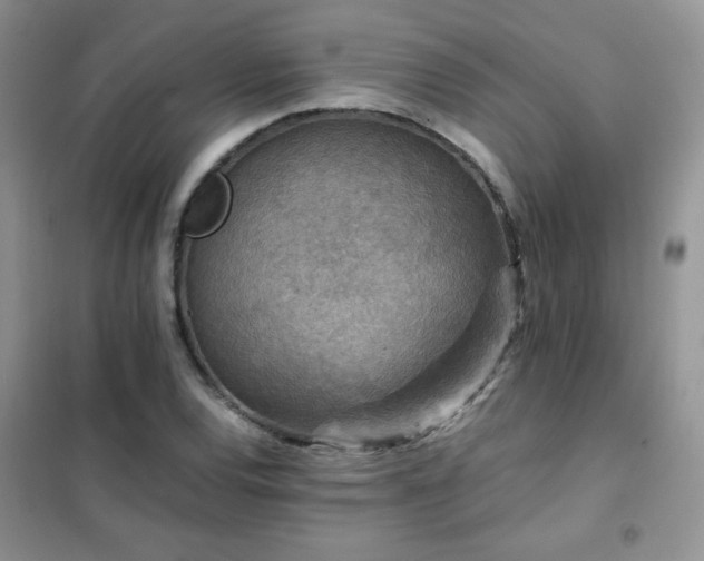 X0000102381120200808011530