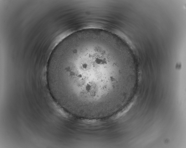 X0000102381121200808011530