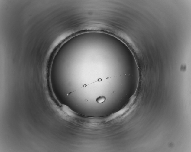 X0000102381122200808011530