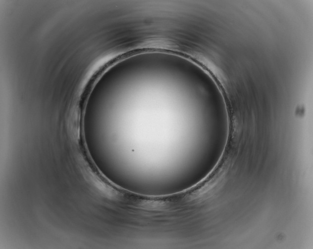 X0000102381123200808011530