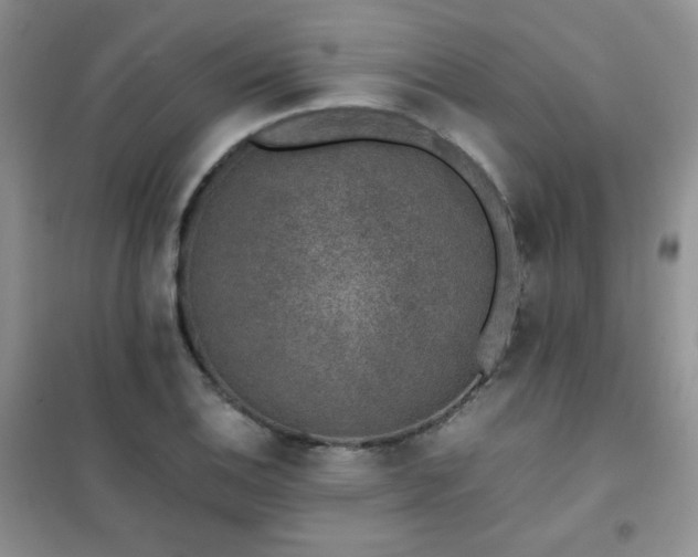 X0000102381124200808011530