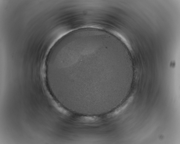 X0000102381125200808011530