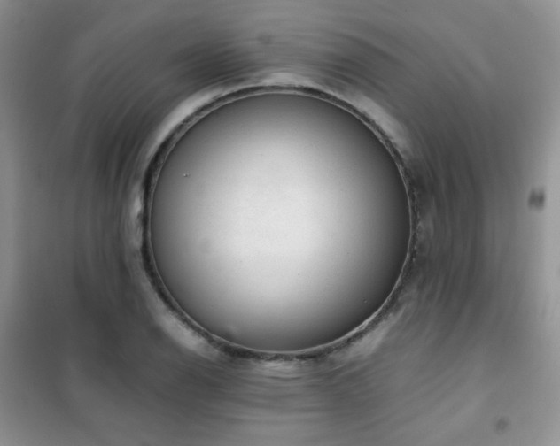 X0000102381126200808011530