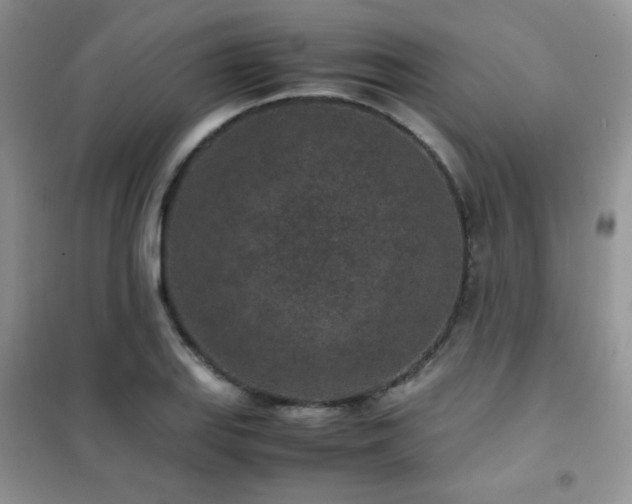 X0000102381127200808011530