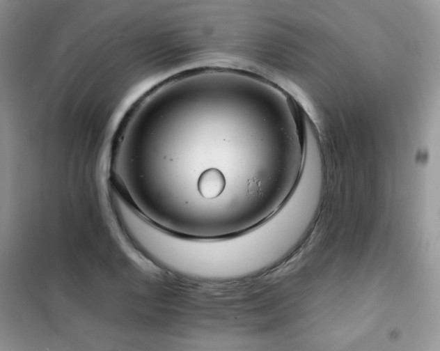 X0000102381128200808011530
