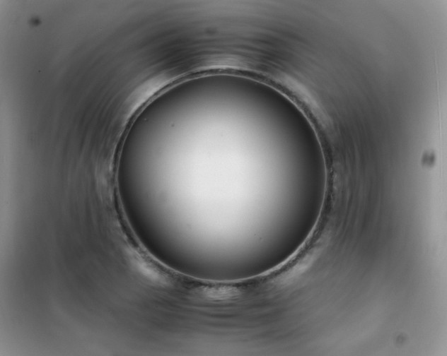 X0000102381129200808011530