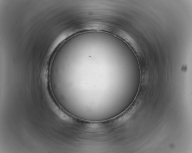 X0000102381130200808011530
