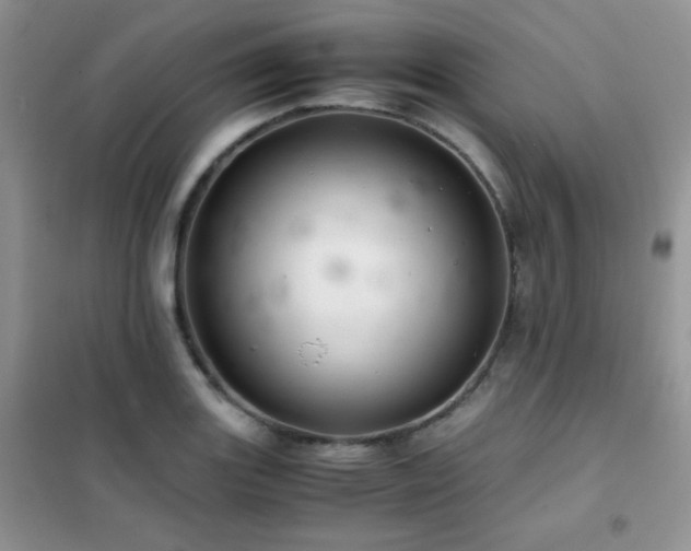 X0000102381131200808011530