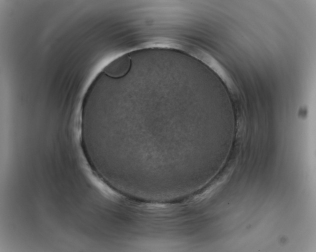 X0000102381132200808011530