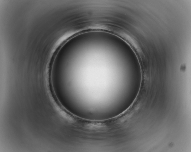 X0000102381133200808011530