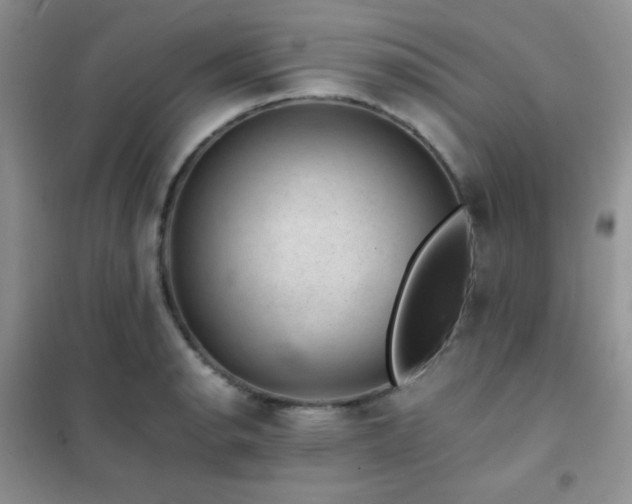X0000102381134200808011530