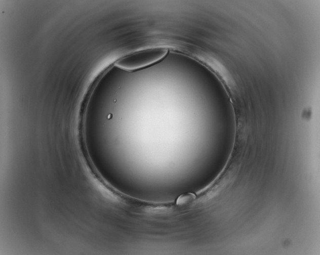 X0000102381135200808011530