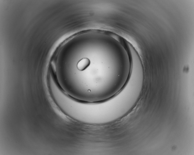 X0000102381136200808011530