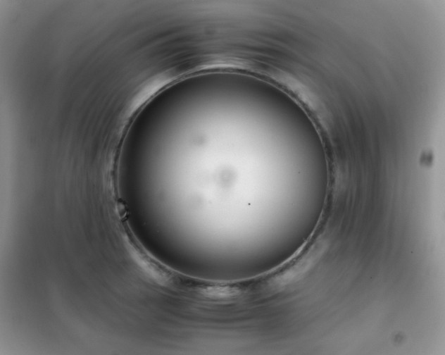 X0000102381137200808011530
