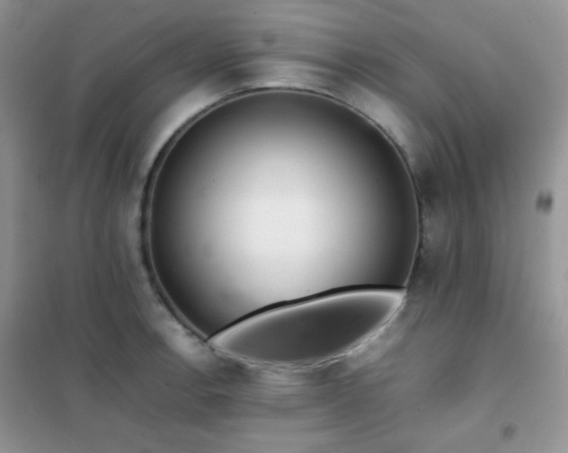 X0000102381138200808011530