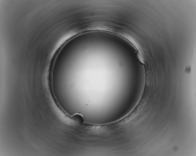 X0000102381139200808011530