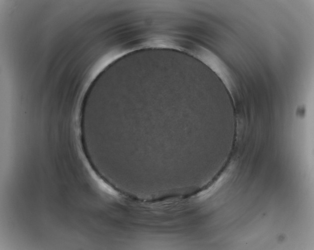 X0000102381141200808011531